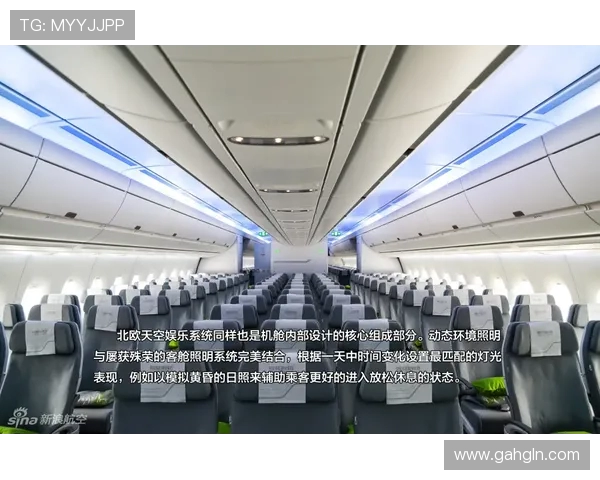 飞机客舱照明系统的动态亮度调节